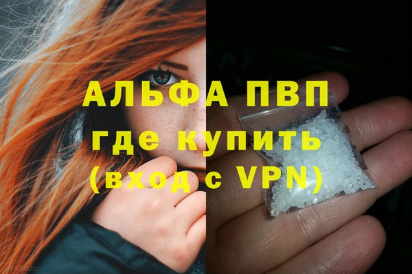 стаф Балахна