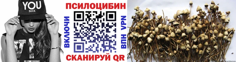 Галлюциногенные грибы MAGIC MUSHROOMS  Лагань 